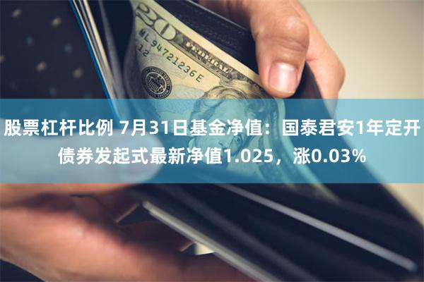 股票杠杆比例 7月31日基金净值：国泰君安1年定开债券发起式最新净值1.025，涨0.03%