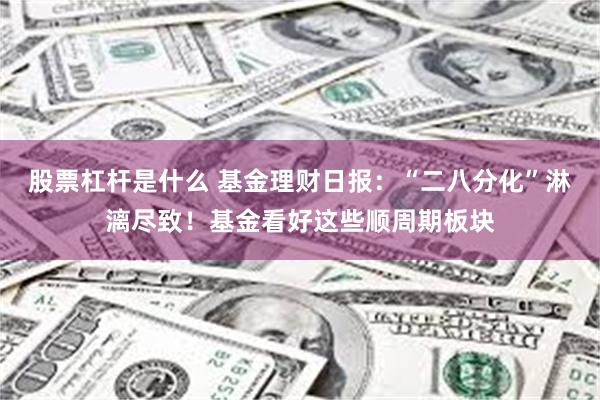 股票杠杆是什么 基金理财日报：“二八分化”淋漓尽致！基金看好这些顺周期板块