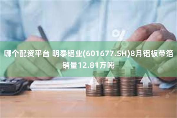 哪个配资平台 明泰铝业(601677.SH)8月铝板带箔销量12.81万吨