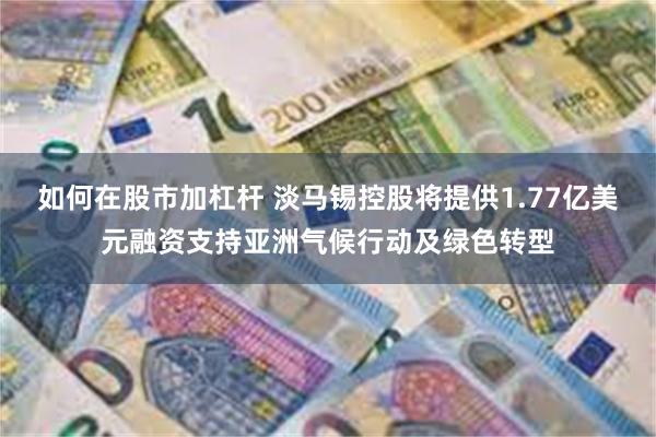 如何在股市加杠杆 淡马锡控股将提供1.77亿美元融资支持亚洲气候行动及绿色转型