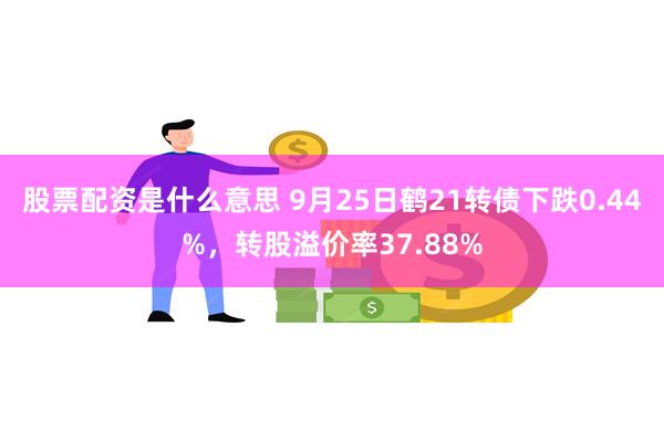 股票配资是什么意思 9月25日鹤21转债下跌0.44%，转股溢价率37.88%