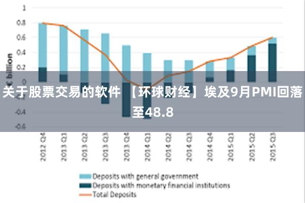 关于股票交易的软件 【环球财经】埃及9月PMI回落至48.8