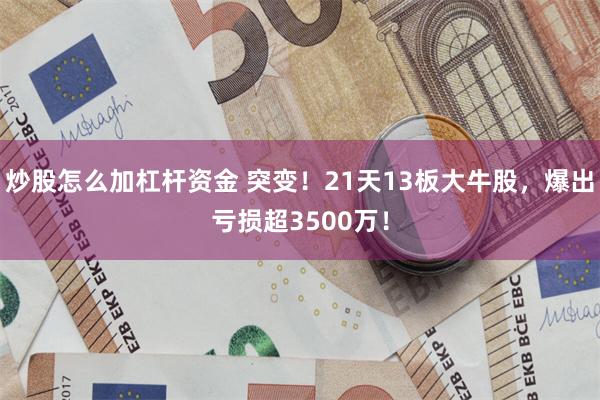 炒股怎么加杠杆资金 突变！21天13板大牛股，爆出亏损超3500万！