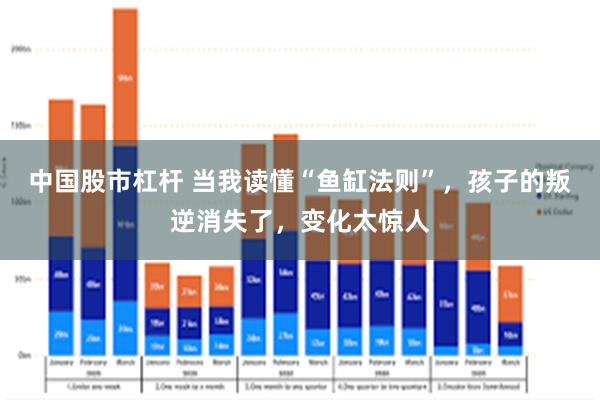 中国股市杠杆 当我读懂“鱼缸法则”，孩子的叛逆消失了，变化太惊人