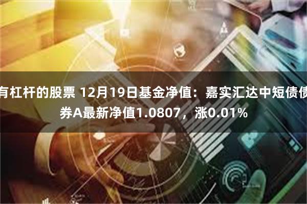 有杠杆的股票 12月19日基金净值：嘉实汇达中短债债券A最新净值1.0807，涨0.01%