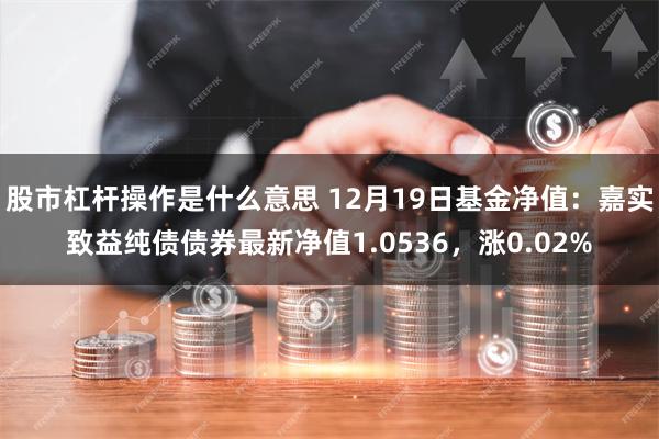 股市杠杆操作是什么意思 12月19日基金净值：嘉实致益纯债债券最新净值1.0536，涨0.02%