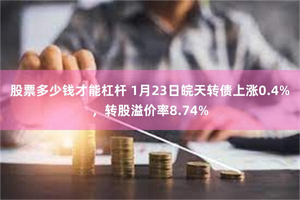 股票多少钱才能杠杆 1月23日皖天转债上涨0.4%，转股溢价率8.74%