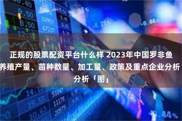 正规的股票配资平台什么样 2023年中国罗非鱼行业养殖产量、苗种数量、加工量、政策及重点企业分析「图」